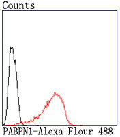 PABPN1 Antibody in Flow Cytometry (Flow)