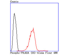 Phospho-RNA pol II CTD (Ser5) Antibody in Flow Cytometry (Flow)