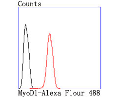 MYOD Antibody in Flow Cytometry (Flow)