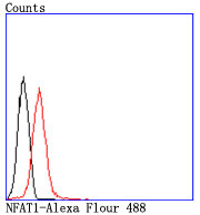 NFATC2 Antibody in Flow Cytometry (Flow)