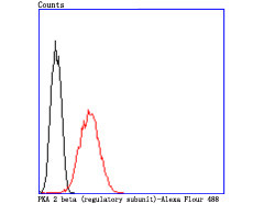 PRKAR2B Antibody in Flow Cytometry (Flow)