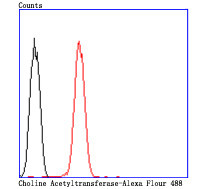 ChAT Antibody in Flow Cytometry (Flow)
