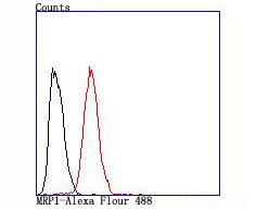 MRP1 Antibody in Flow Cytometry (Flow)