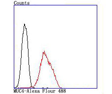 MUC4 Antibody in Flow Cytometry (Flow)