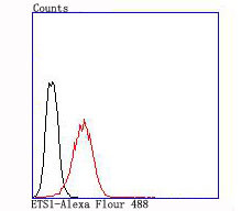 ETS1 Antibody in Flow Cytometry (Flow)