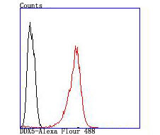 DDX5 Antibody in Flow Cytometry (Flow)