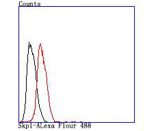 SKP1 Antibody in Flow Cytometry (Flow)