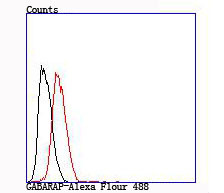 GABARAP/GABARAPL1 Antibody in Flow Cytometry (Flow)