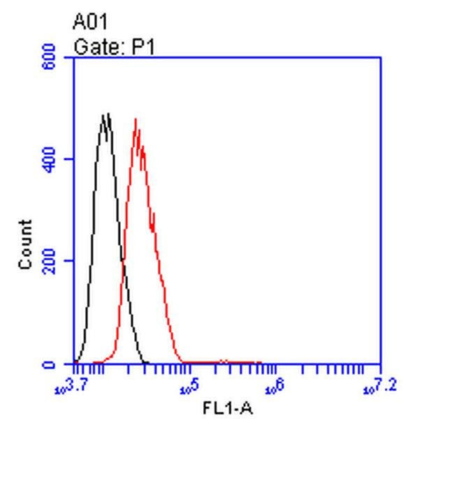 ENO1 Antibody in Flow Cytometry (Flow)