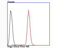 Nogo-B Antibody in Flow Cytometry (Flow)