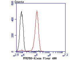 PFKFB3 Antibody in Flow Cytometry (Flow)