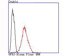 OPA1 Antibody in Flow Cytometry (Flow)