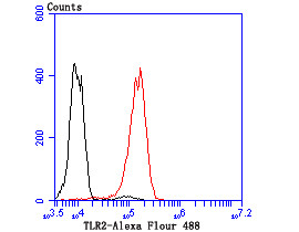 TLR2 Antibody in Flow Cytometry (Flow)