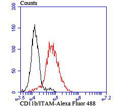 CD11b Antibody in Flow Cytometry (Flow)