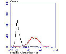 IFITM3 Antibody in Flow Cytometry (Flow)