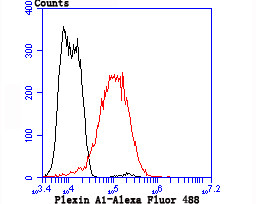 Plexin-A1 Antibody in Flow Cytometry (Flow)