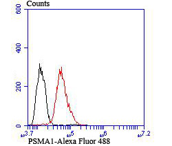 PSMA1 Antibody in Flow Cytometry (Flow)
