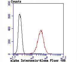 alpha Internexin Antibody in Flow Cytometry (Flow)