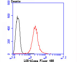 LOX Antibody in Flow Cytometry (Flow)