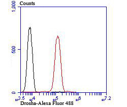 Drosha Antibody in Flow Cytometry (Flow)