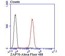 Zap-70 Antibody in Flow Cytometry (Flow)