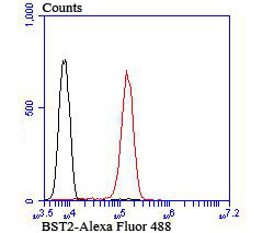 CD317 (BST2, PDCA-1) Antibody in Flow Cytometry (Flow)