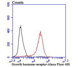 Growth Hormone Receptor Antibody in Flow Cytometry (Flow)