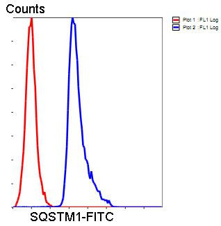 SQSTM1 Antibody in Flow Cytometry (Flow)