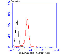 TIM-3 Antibody in Flow Cytometry (Flow)