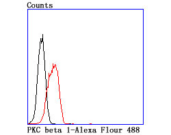 PKC beta-1 Antibody in Flow Cytometry (Flow)