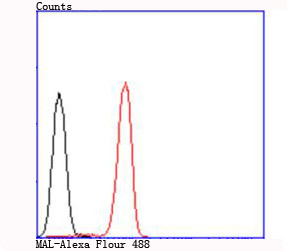 MAL Antibody in Flow Cytometry (Flow)