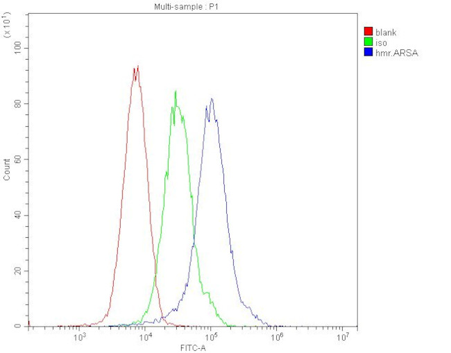 Arylsulfatase A Antibody in Flow Cytometry (Flow)