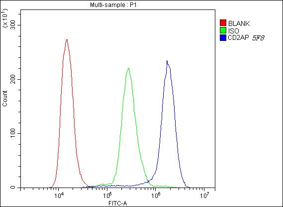 CD2AP Antibody in Flow Cytometry (Flow)