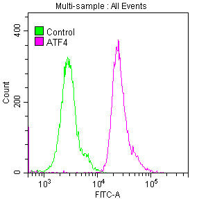 ATF4 Antibody in Flow Cytometry (Flow)