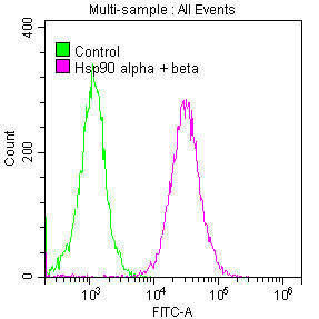 HSP90 alpha/beta Antibody in Flow Cytometry (Flow)