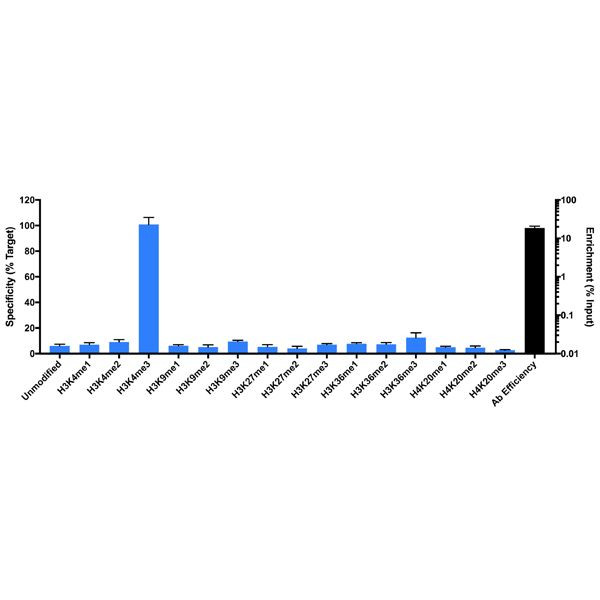 H3K4me3 Antibody in ChIP Assay (ChIP)