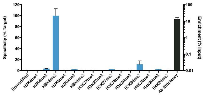 H3K4me3 Antibody