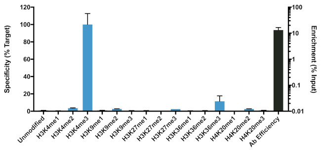 H3K4me3 Antibody in ChIP Assay (ChIP)