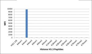 H3K4me2 Antibody in Luminex (LUM)