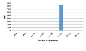 H4K20ac Antibody in Luminex (LUM)