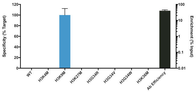 H3 K9M oncohistone mutant Antibody