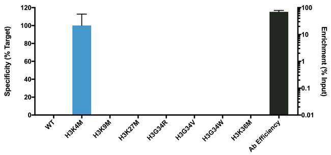 H3.3 K4M oncohistone mutant Antibody