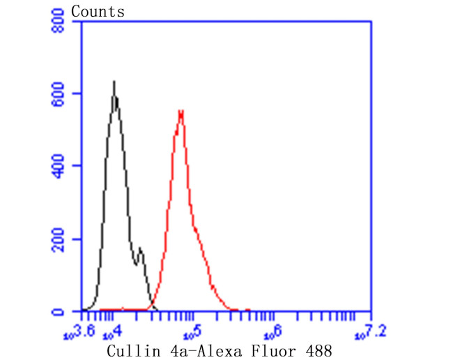 Cullin 4A Antibody in Flow Cytometry (Flow)