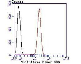 NCK1 Antibody in Flow Cytometry (Flow)