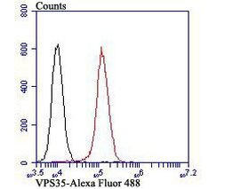 VPS35 Antibody in Flow Cytometry (Flow)