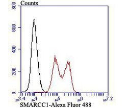 SMARCC1 Antibody in Flow Cytometry (Flow)
