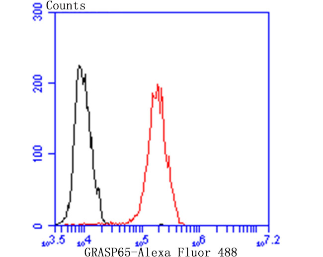 GRASP65 Antibody in Flow Cytometry (Flow)