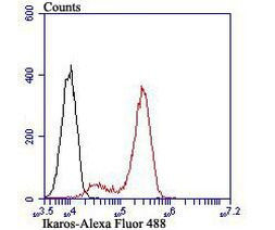 IKAROS Antibody in Flow Cytometry (Flow)