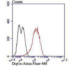 DCP1A Antibody in Flow Cytometry (Flow)