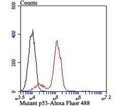 p53 Antibody in Flow Cytometry (Flow)